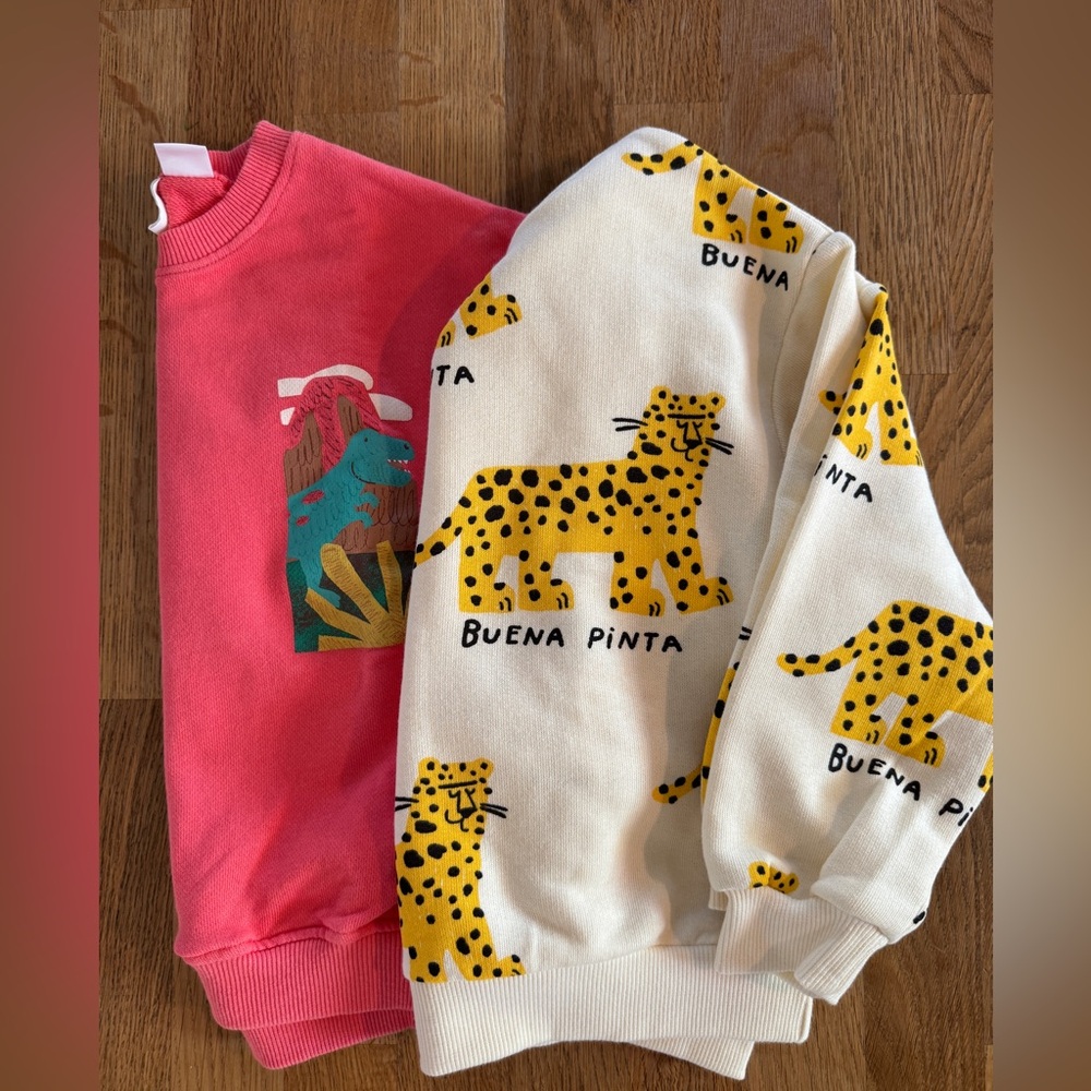 Zara sweatshirts - set of 2
